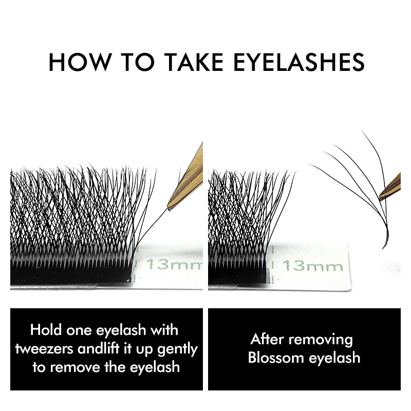 NATUHANA W-förmige 4D 5D-Volum – Eyelash Extension For Asian Eyes Bewertung und Preis